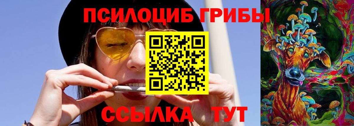 Галлюциногенные грибы Psilocybe  Вход с VPN  Псилоцибиновые грибы Cubensis  Гусь-Хрустальный 