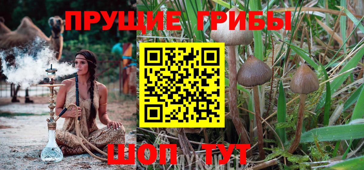 Псилоцибиновые грибы мухоморы Гусь-Хрустальный